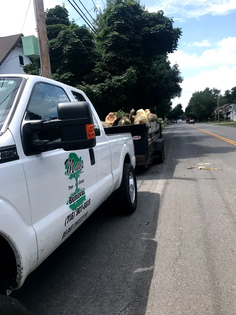 Tree Removal for Mays Tree and Stump Removal in Alden, NY