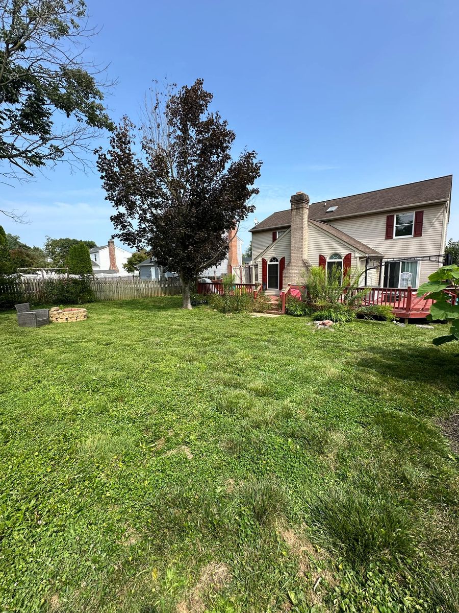 Fall Clean Up for A Better Lawn Service LLC in Bel Air, MD