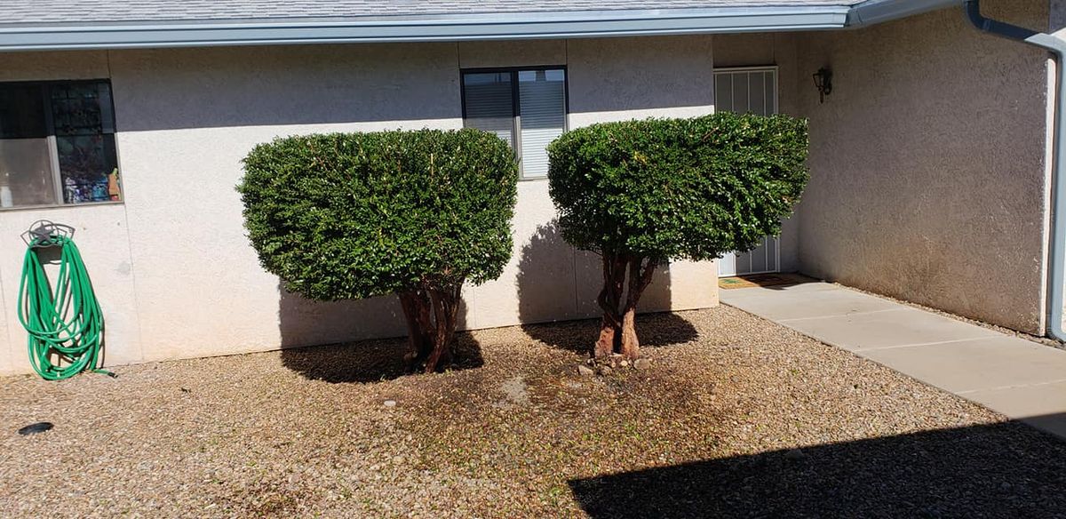 Shrub Trimming for A to Z Grounds Keeping in Sierra Vista, AZ