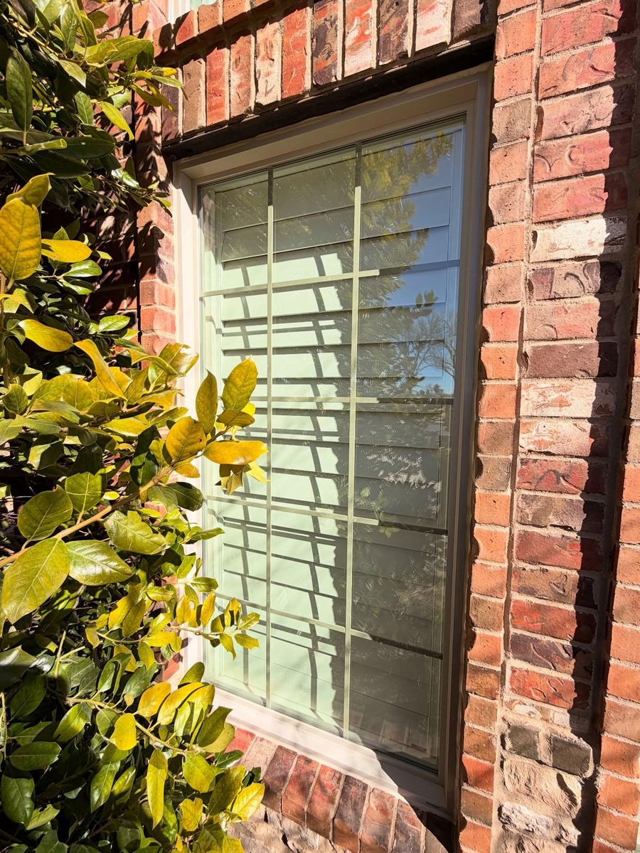 Window Replacement for Proud Crowd Construction in Canyon, TX