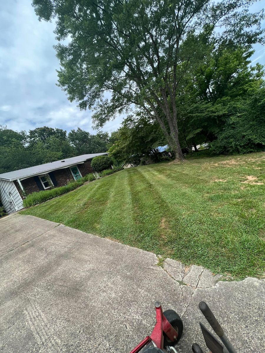 Fall Clean Up for SkyLimit LawnCare in Asheville, NC