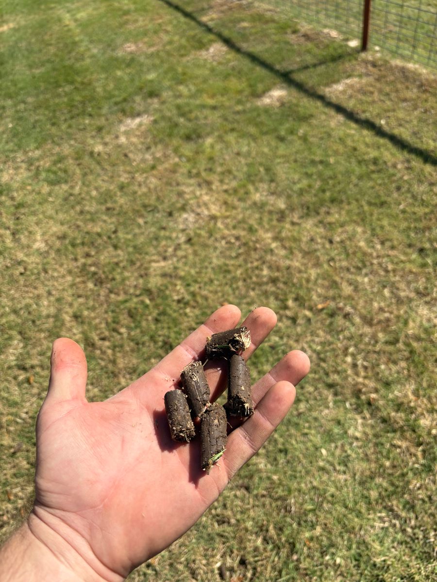 Lawn Maintenance for Bad Axe Landscapes LLC in Bulverde, TX