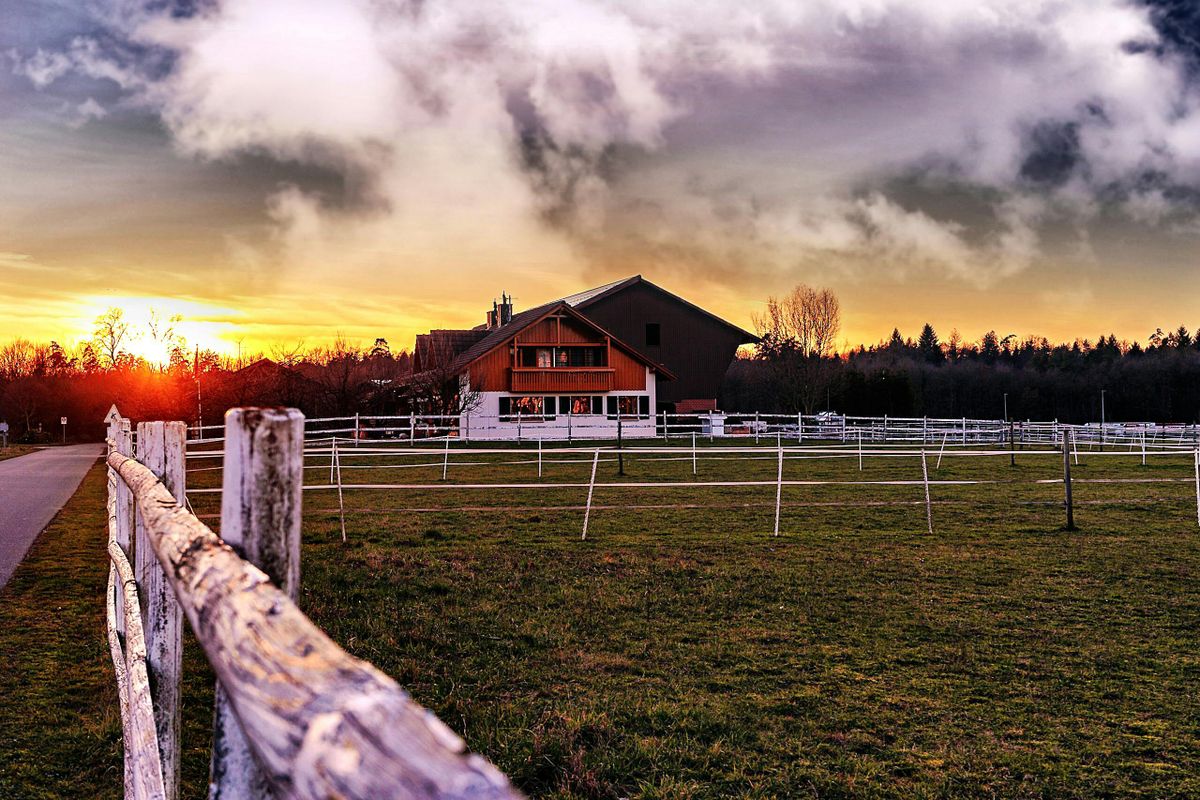 Residential Fencing services for ArmorLine Fence LLC in Pewaukee, WI