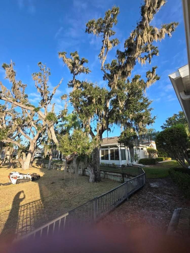 Tree Removal for TREE BOYS in Ruskin, FL