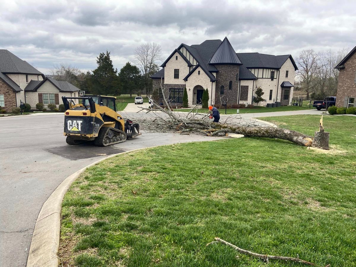 Tree Trimming & Removal for Ground Worx in Lebanon, TN