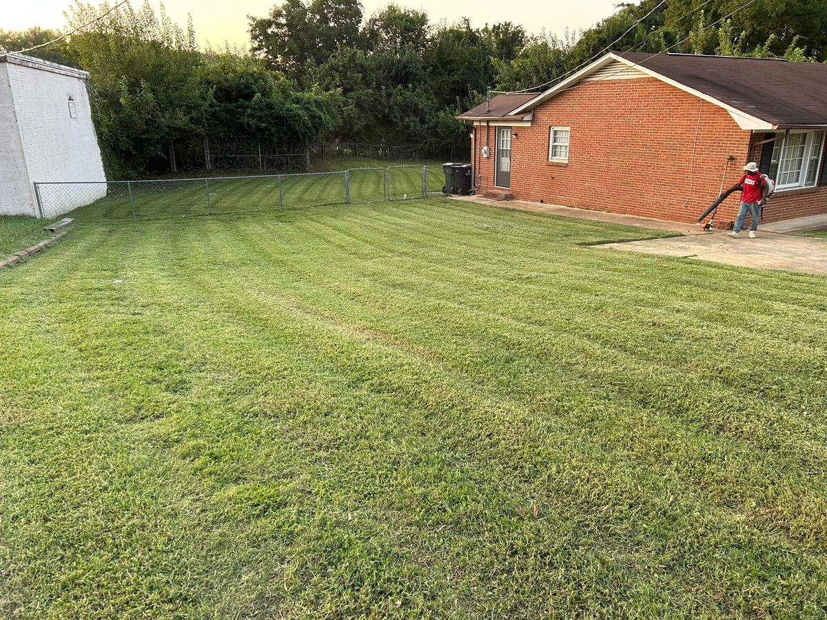 Seeding for Durham Right Lawn Services in Rock Hill, SC