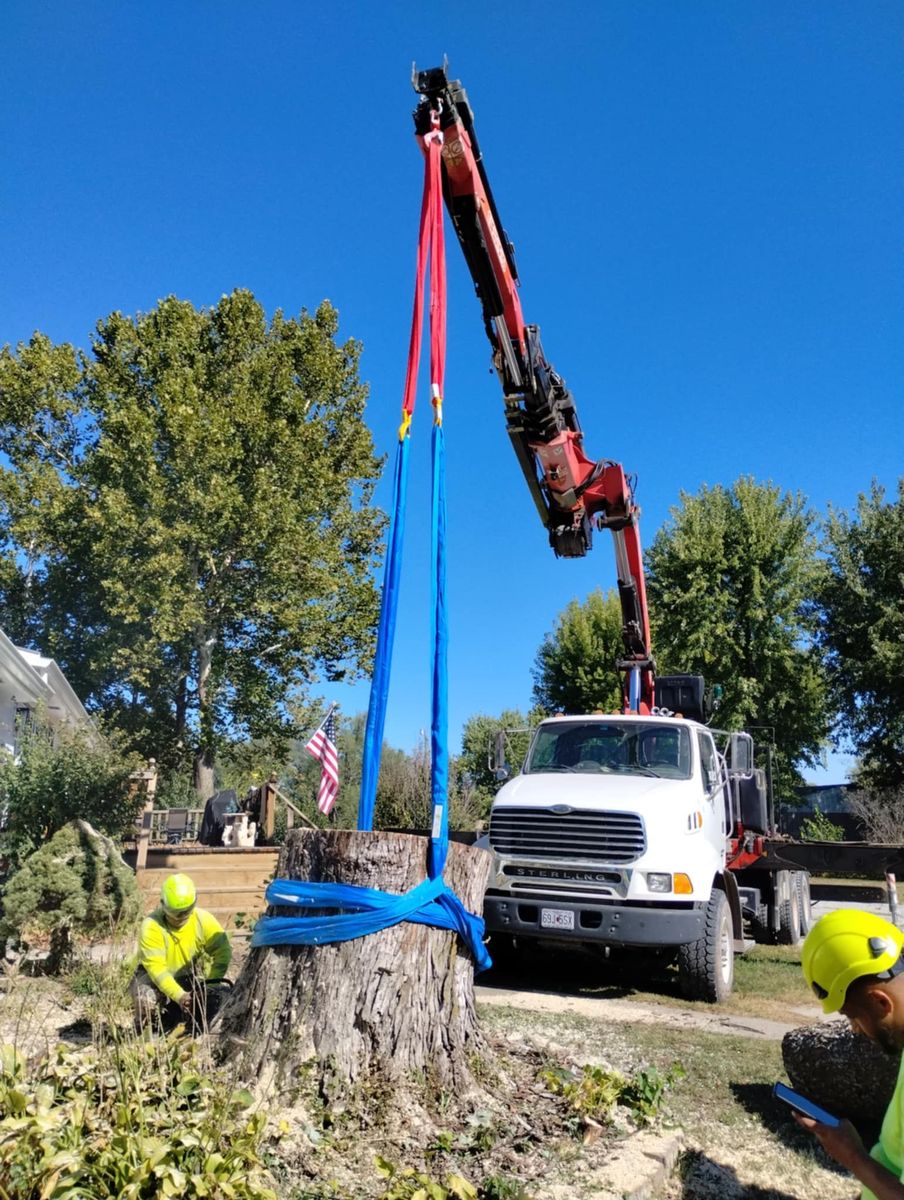 Utility Line Clearance for Mitchell Tree Company in Lathrop, MO