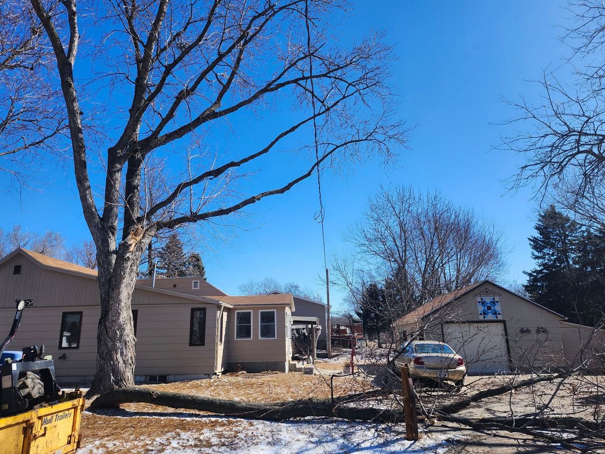 Tree Trimming for Uprooted LLC in Norfolk, NE
