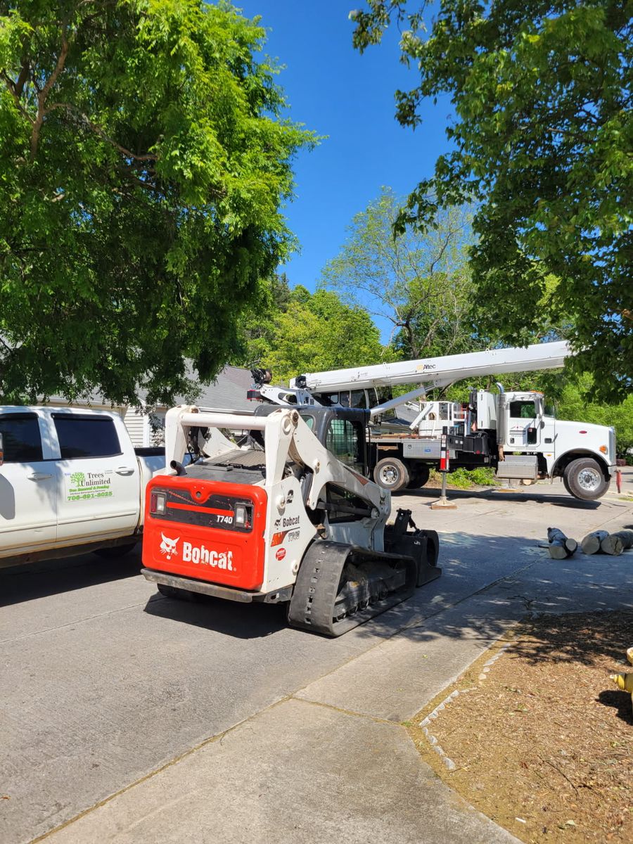 Tree Removal for Trees Unlimited of the CSRA in Augusta, GA