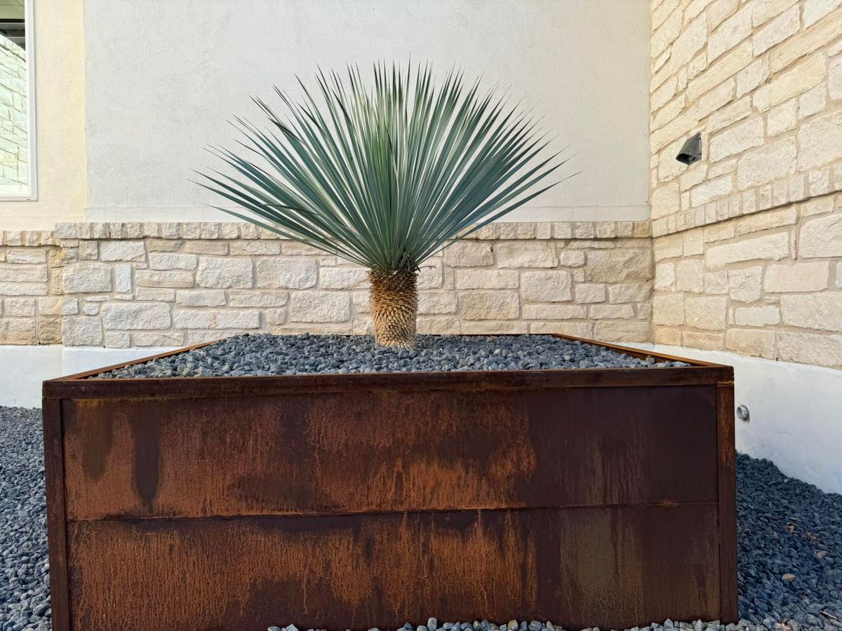 Landscape Design for N. B. Fence & Landscape in New Braunfels, TX