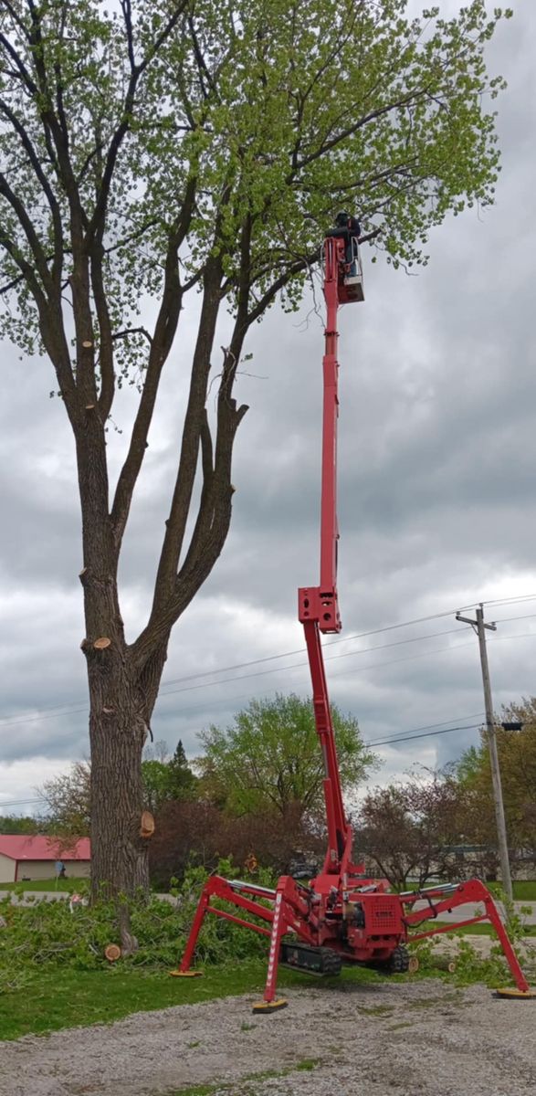 Tree Trimming for Lawn Ranger Yard And Tree Service LLC in Ottumwa, IA