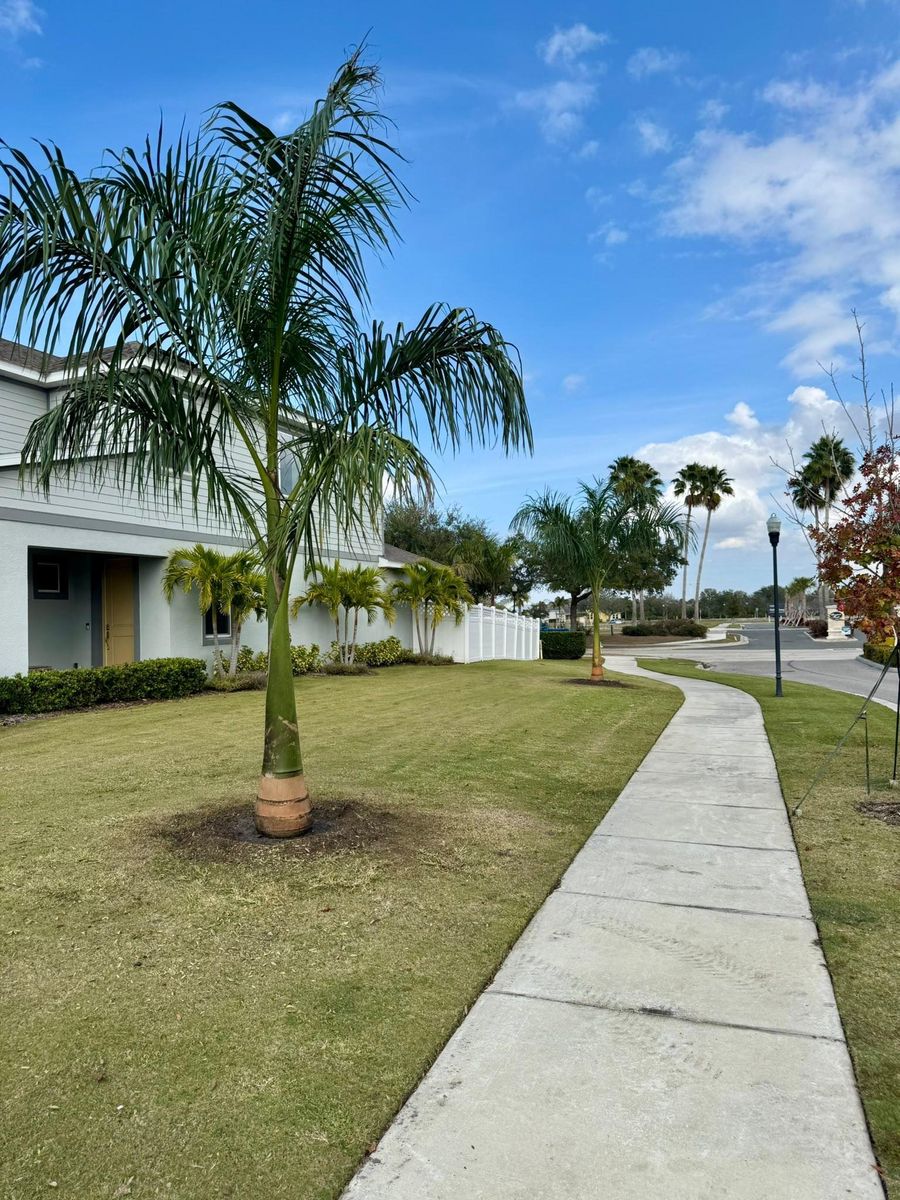 Landscaping for Shoreside Property Services in Apollo Beach, FL