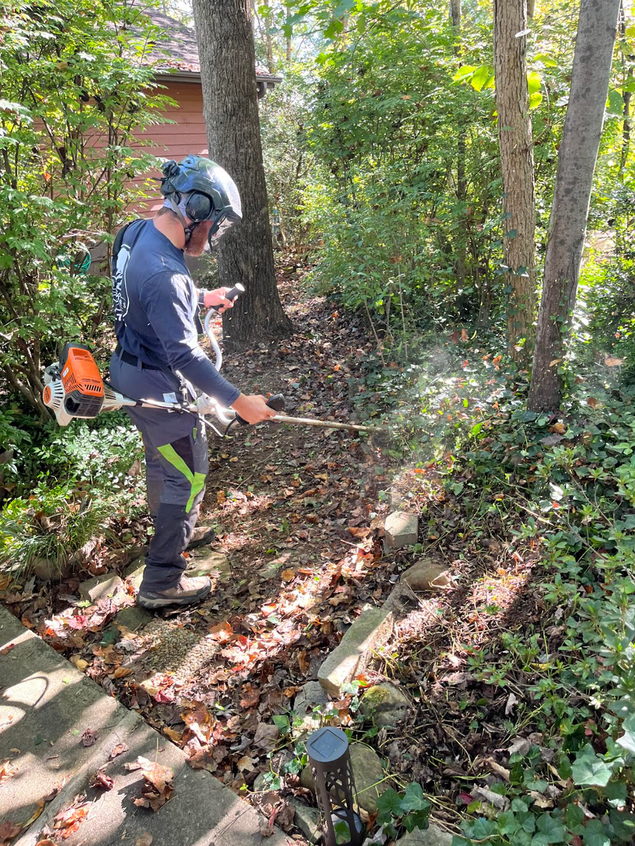 Spring Clean up  for Settle Tree Services in Knoxville, TN