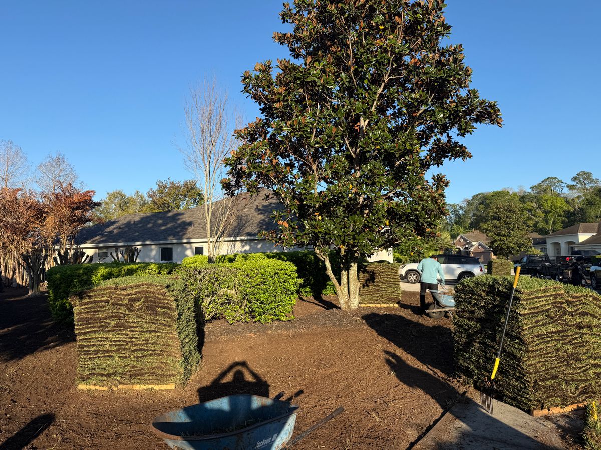 Sod Installation for Gulf Bay Sod in Clearwater, FL