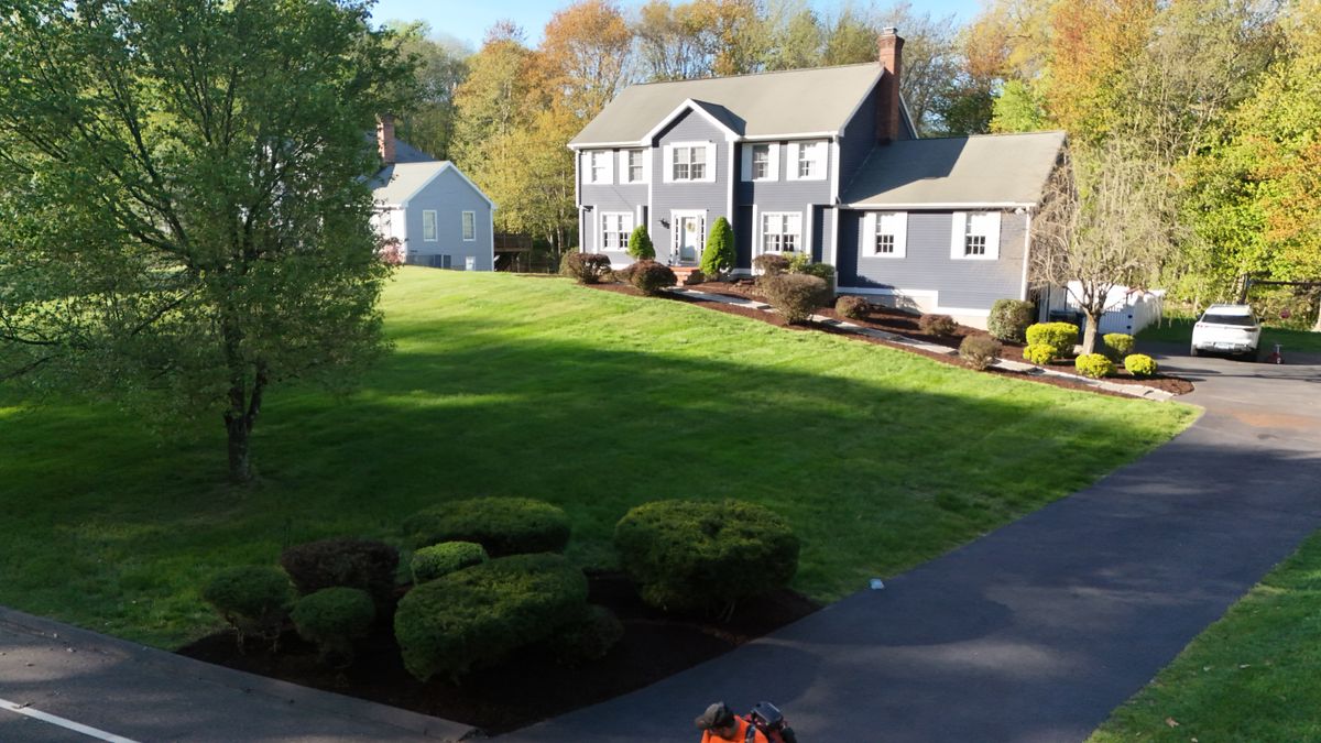 Shrub & Tree Care for Ace Landscaping in Trumbull, CT