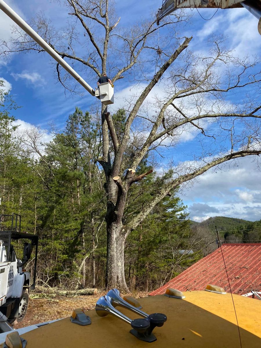 Other Land Services for Lance Tree Service in Tellico Plains ,  TN