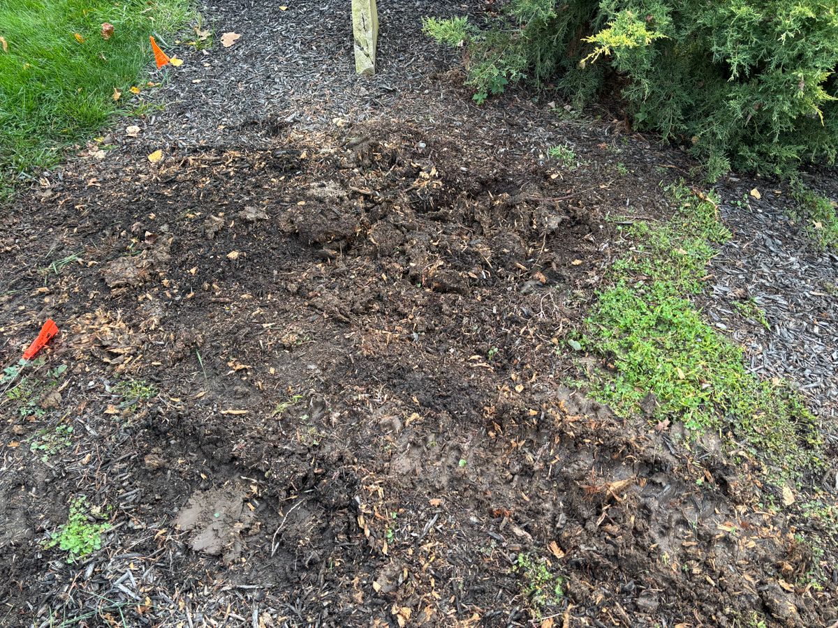 Stump Removal for Conrad's Stump Removal in Columbus, IN
