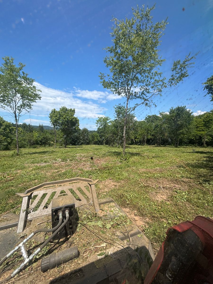 Land Clearing for Gregory Grass and Lawn in Lafayette, TN
