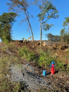 Tree Trimming & Removal for Legacy Land Clearing in Knoxville, TN