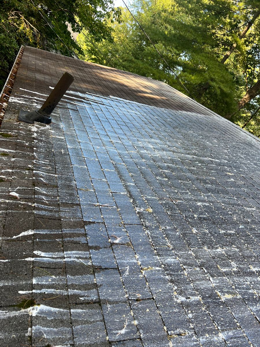 Roof Cleaning for Blast Exterior Cleaning in  Hendersonville, NC