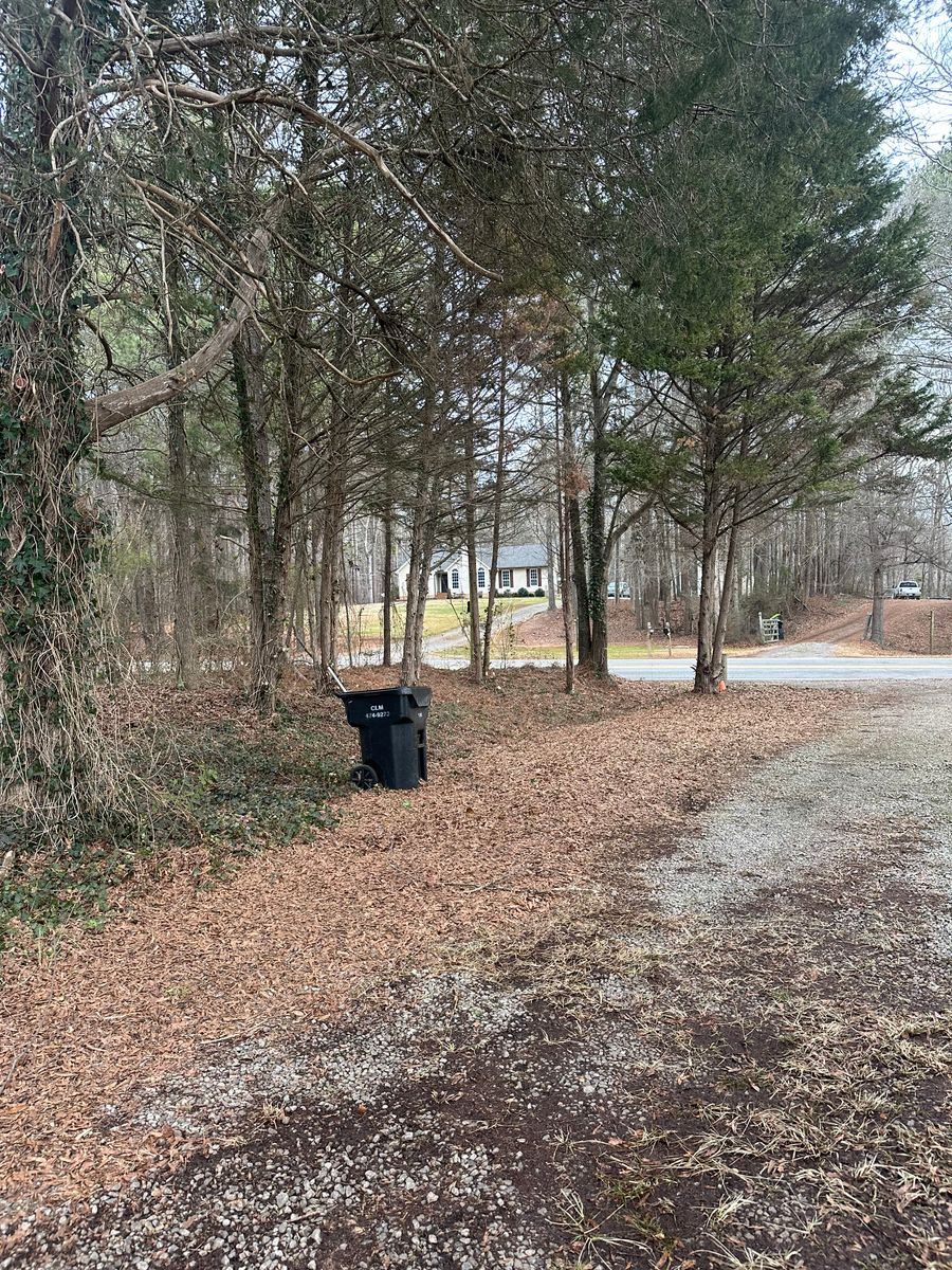 Tree Trimming for ArborMax in Thomaston, GA