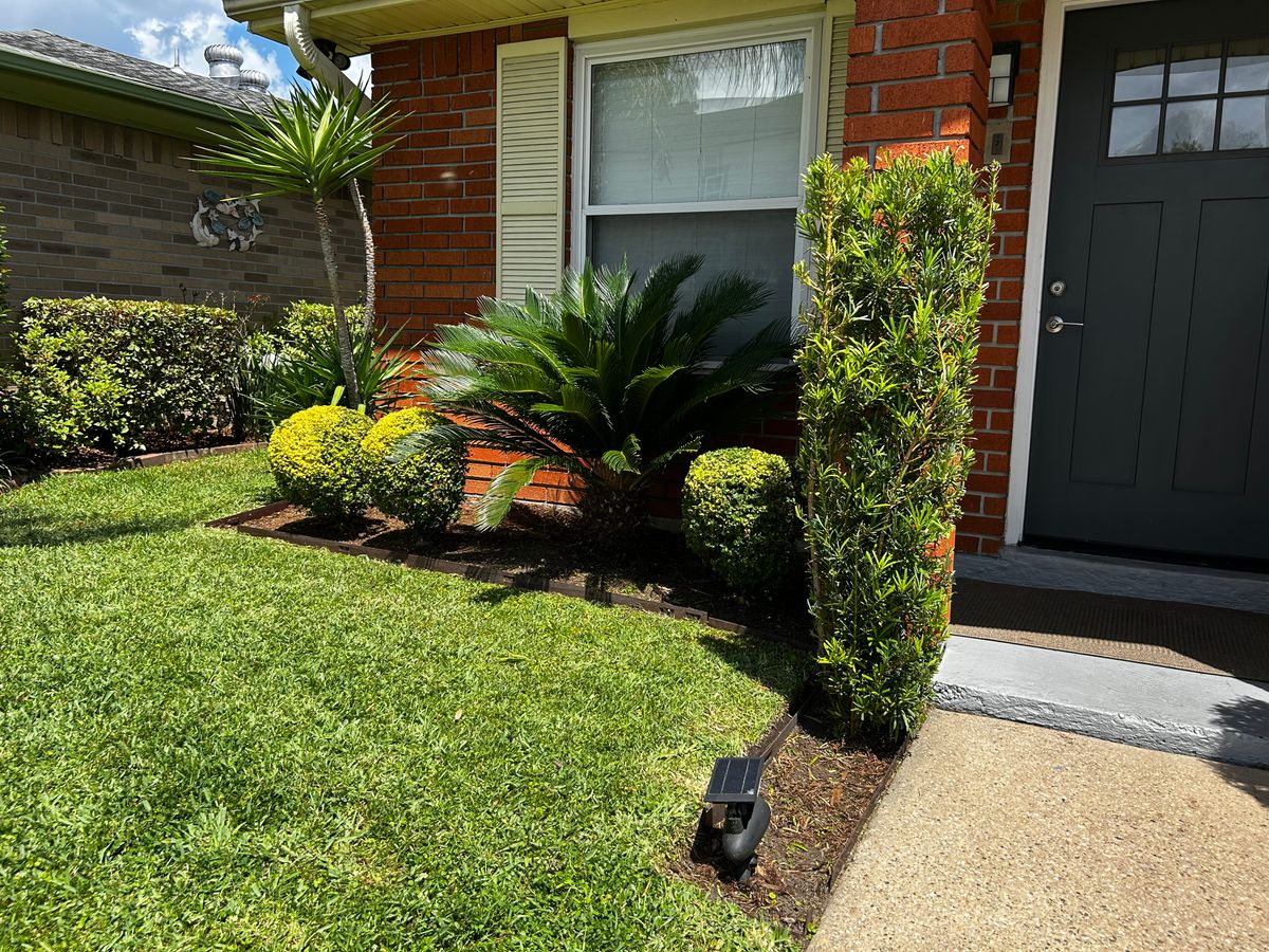 Shrub Trimming for Jay C’s Touch Landscaping & Pressure Washing Services LLC in Marrero, LA
