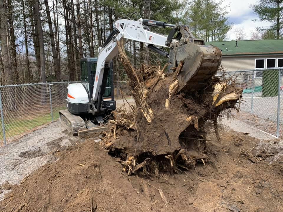 Stump Removal for Elias Grading and Hauling in Black Mountain, NC