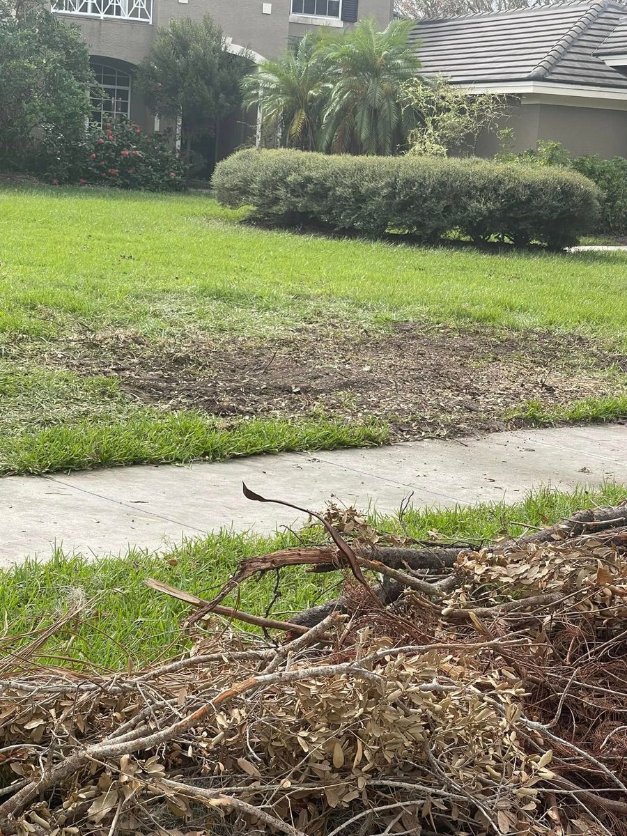 Land Clearing for Nick of Time Tree Service in North Port, FL