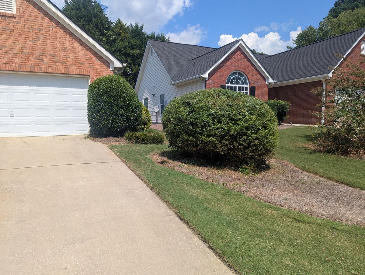 Shrub Trimming for Fantastic Lawn Care LLC in Fayetteville, GA