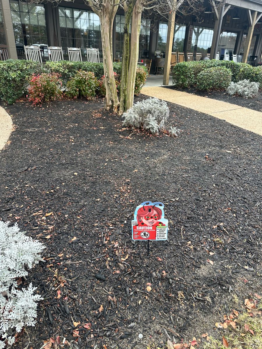 Vegetation Control for Kathleen's Lawn & Shrub Care in Augusta, GA