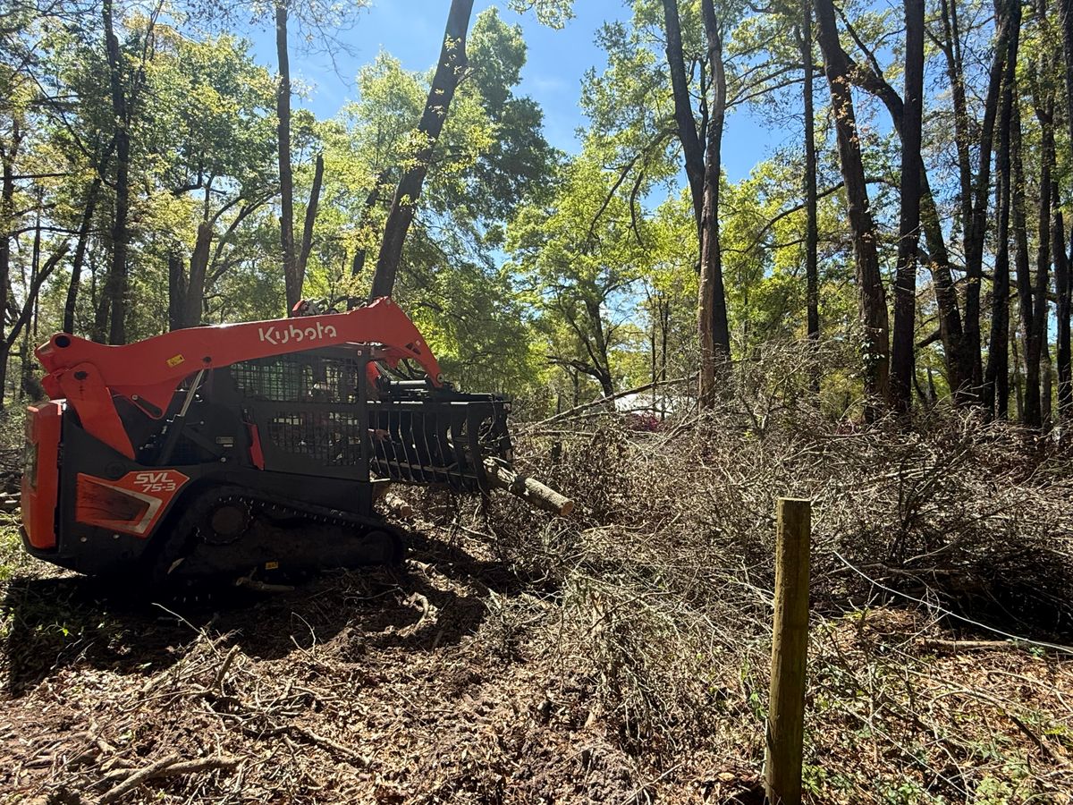 Storm and Property Debris Removal for Family Roots Landworks and Debris Removal in Newberry, FL