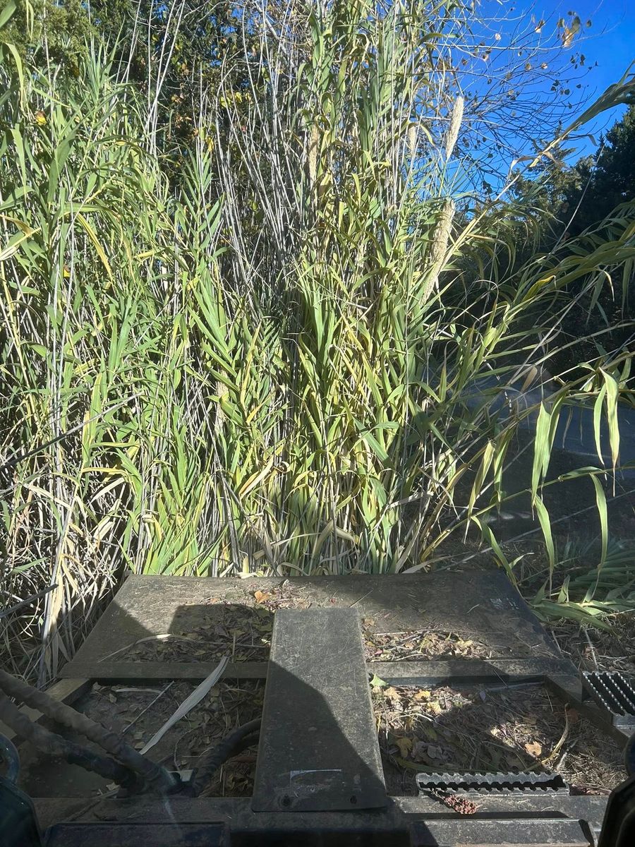 Brush Hogging for Wright Way Land & Welding in Lawton, OK