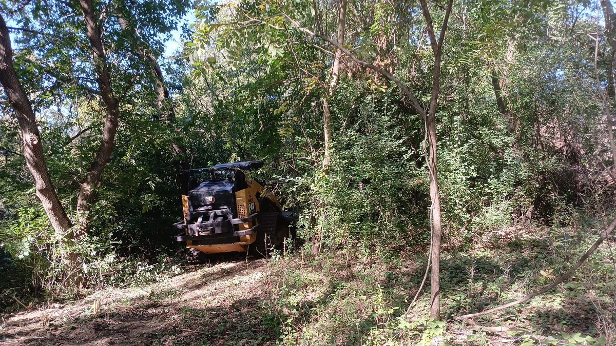 Land Clearing for Willing Trucking & Excavating in Evansville, WI