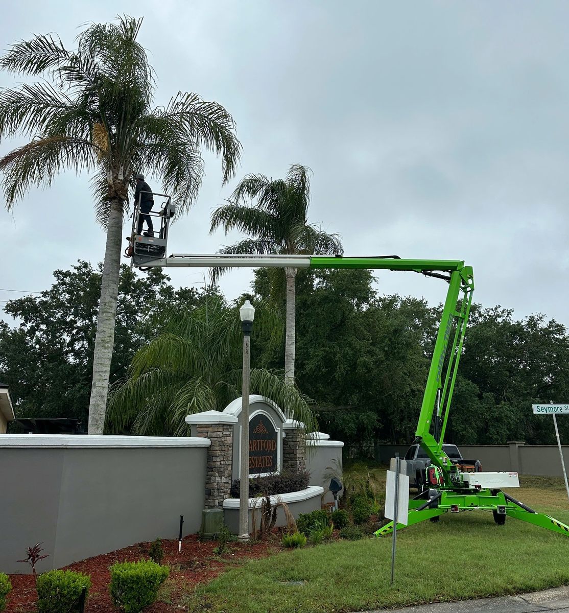 Land Clearing for Ultimate Tree and Landscape Services LLC in Mulberry, FL