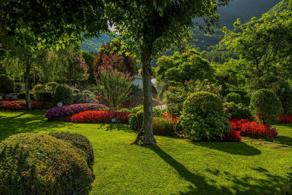 Landscaping for W D Giampa Lawns and Landscape Inc. in Manassas, VA
