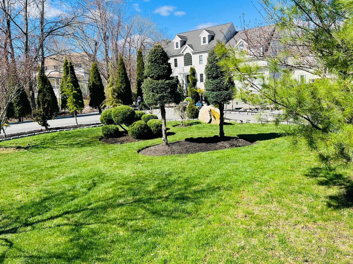  Sod Installation for JC Deleon landscaping Irrigation & Masonry in Saugus, MA