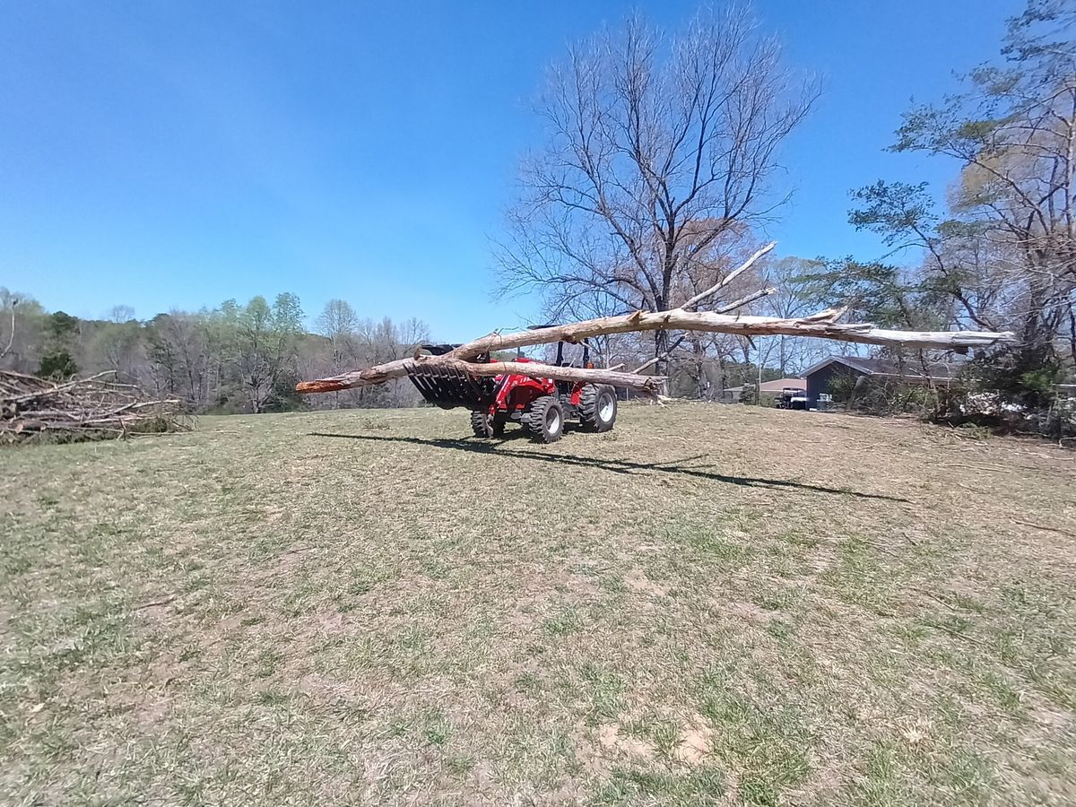Bushhogging for Goliath Tree Maintenance and Haul Away in Seneca, SC