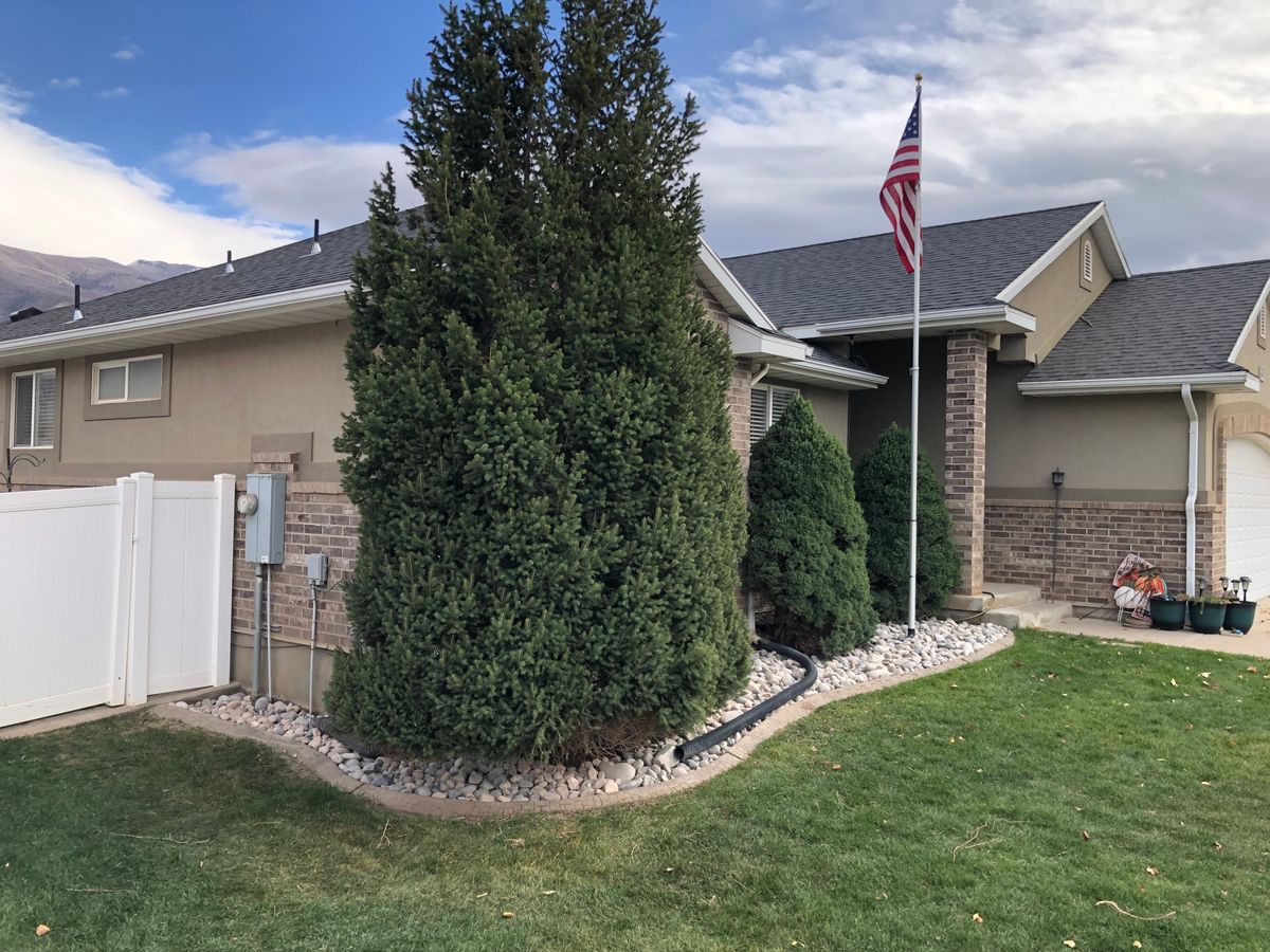 Other Lawn Services for Duncan Yard Services in Bountiful, UT