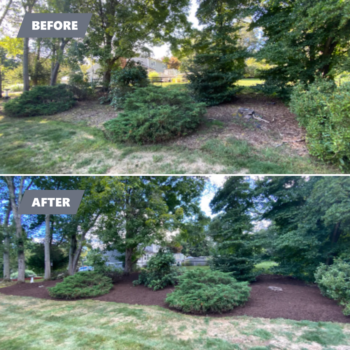 Lawn Maintenance for Stevenson Property Maintenance in Cheshire, CT