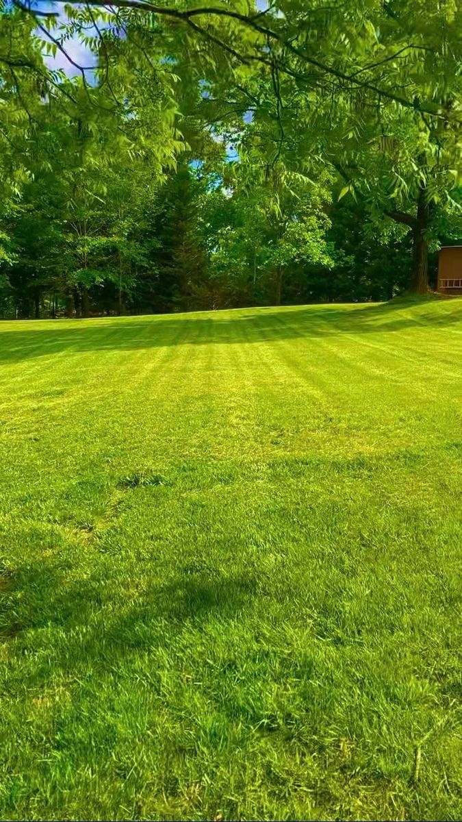 Mowing for Taylormade Lawn Management in Clarkesville, GA