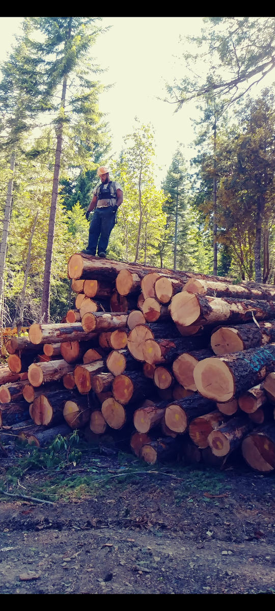 Small Scale Logging for King & Sons Urban Forestry in Coeur d'Alene, ID