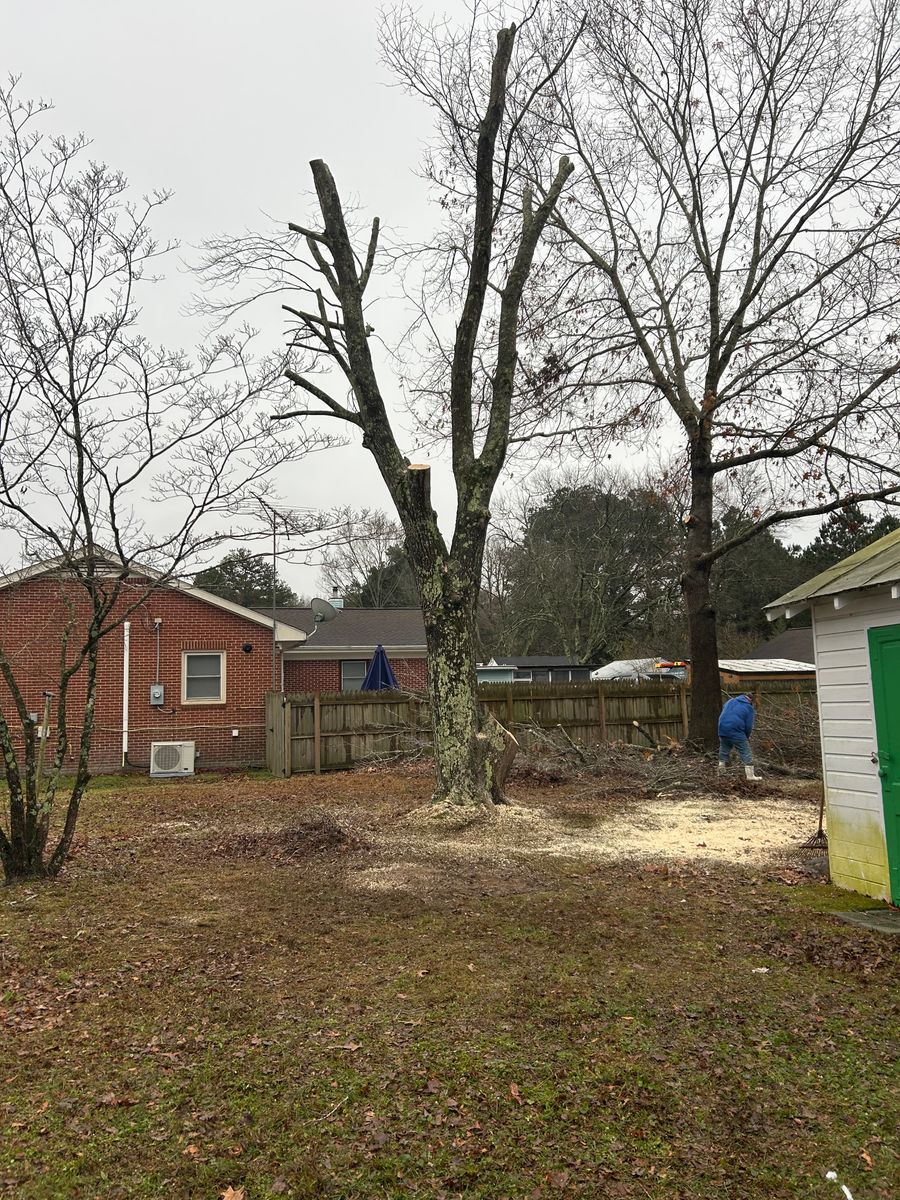 Fall and Spring Clean Up for The Whole 9 Yards Landscape VA in Heathsville, VA