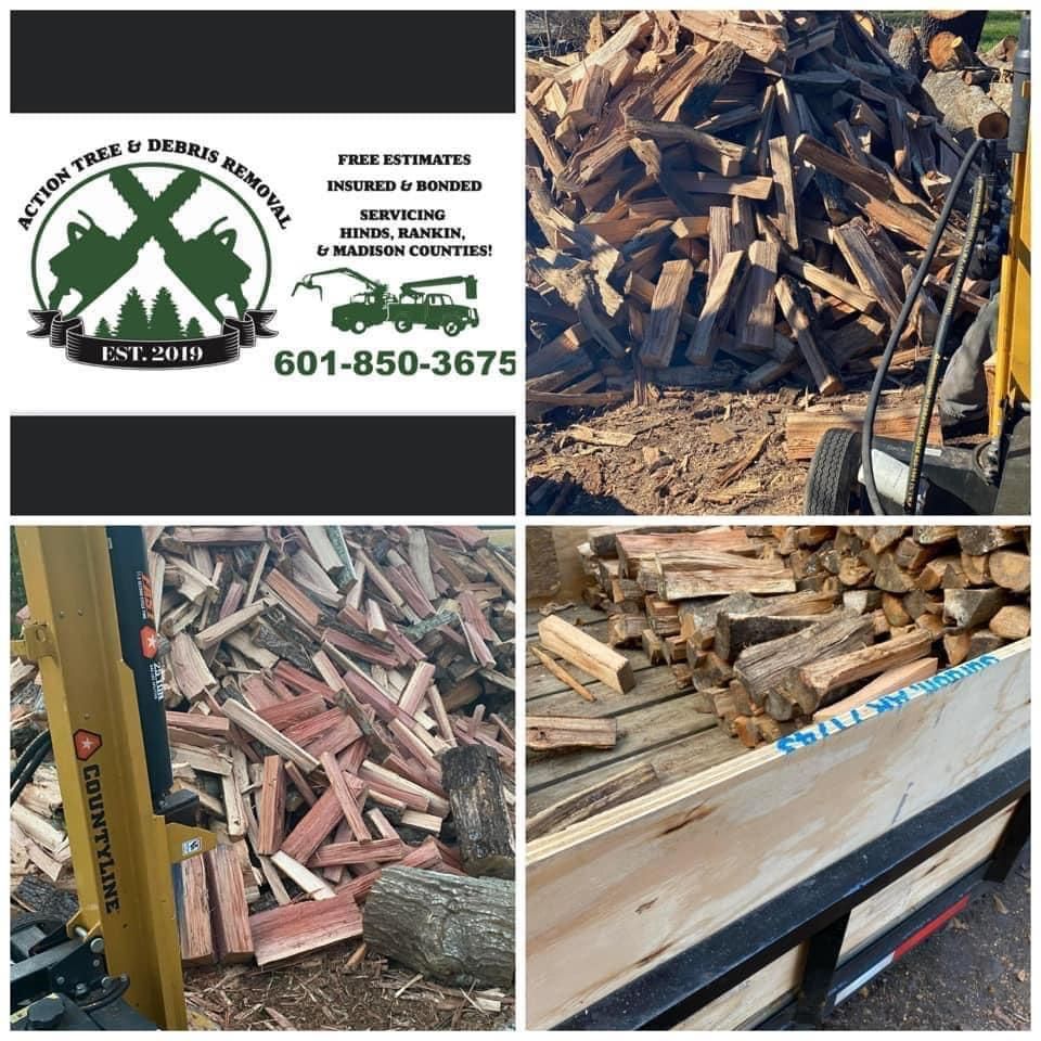 Firewood for Action Tree & Debris Removal in Jackson,  MS