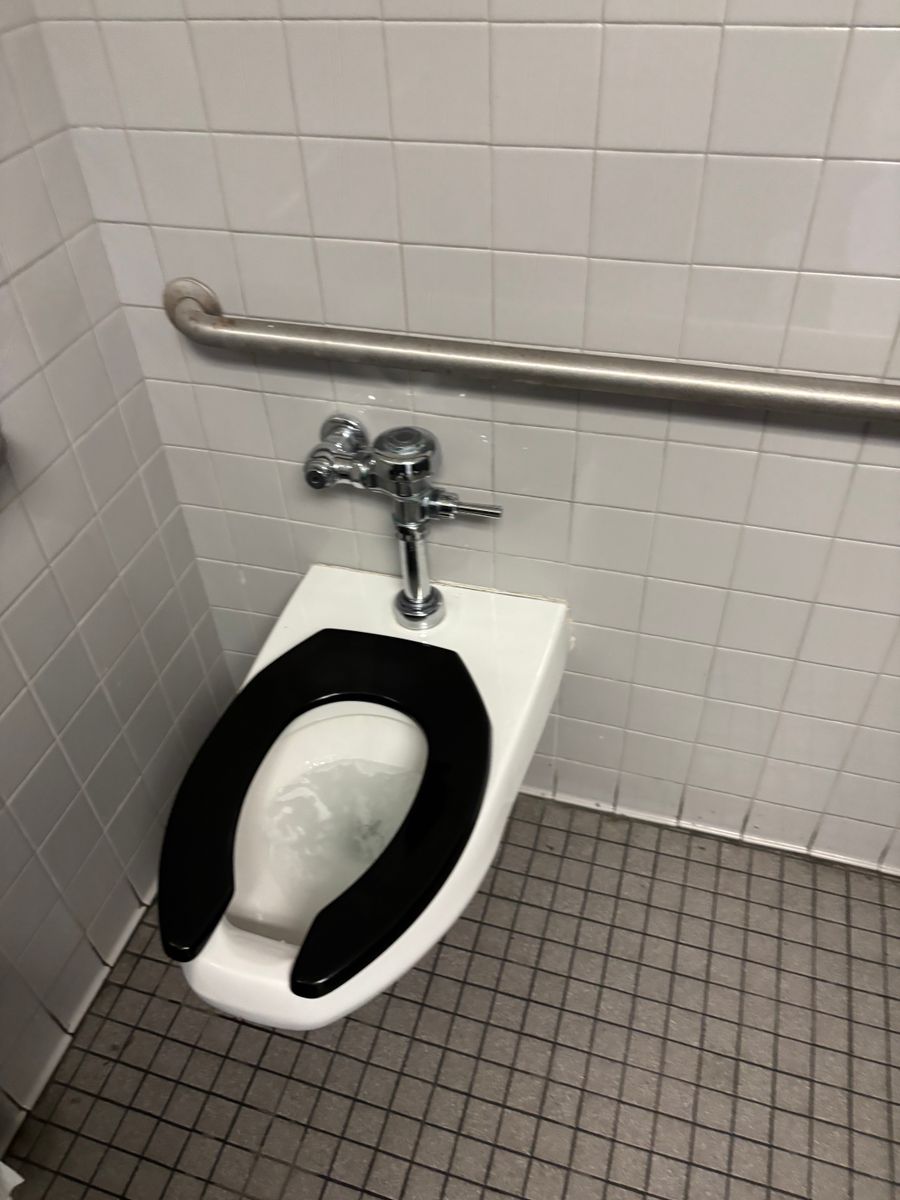 Toilet Repairs and Installation for Avanzi Plumbing in Millington, TN