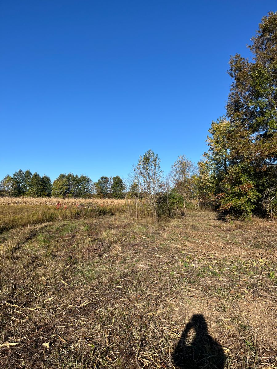 Land Clearing & Demolition for KG Ground Development and Transportation in Newton, IL