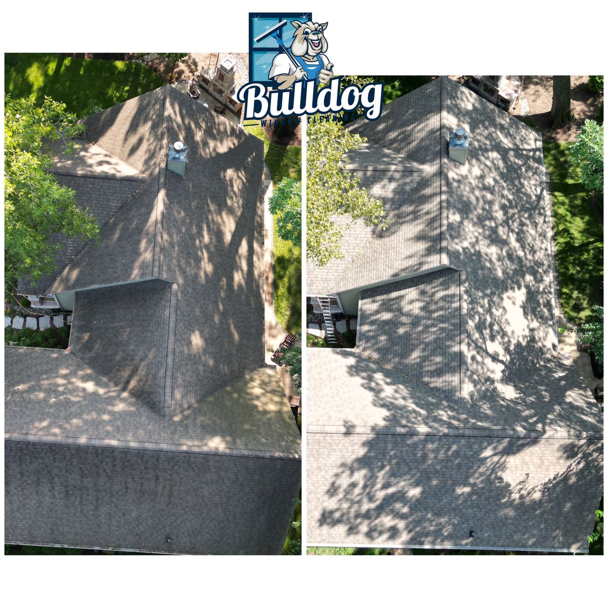 Roof Cleaning for Bulldog Cleaning Services in Walworth County, WI