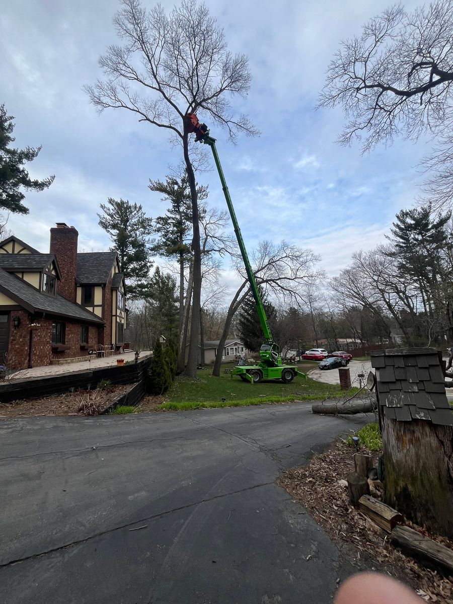 Tree Removal for Tree-B-Gone in Shawano, WI