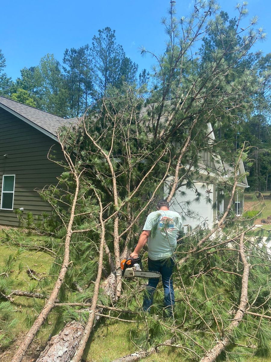 Emergency Tree Service for Bulldawg Disaster Response in Atlanta, GA