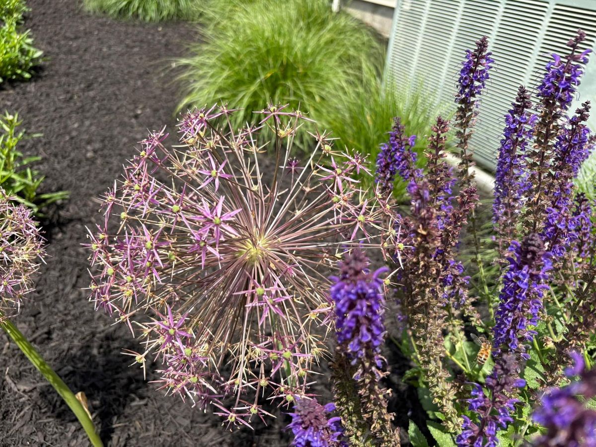 Mulch Installation for Elevate Landscape & Hardscape in West Jefferson, OH