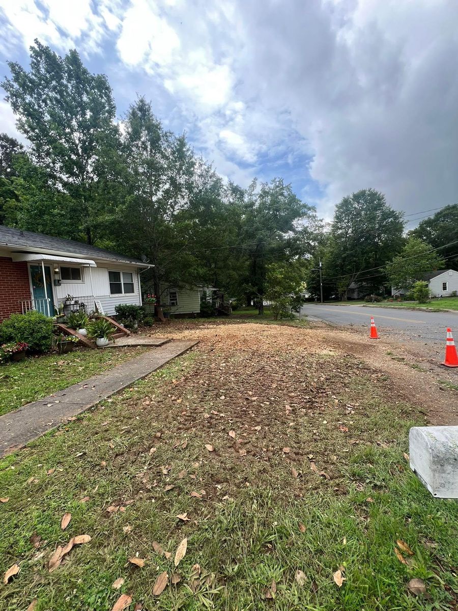 Fall Clean Up for Brooks Tree Service, LLC in Casar, NC